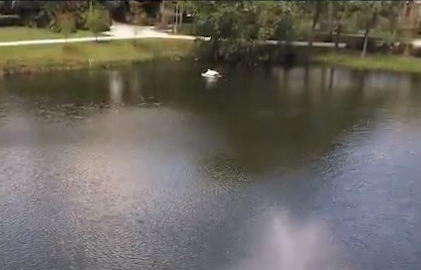 ASV Setup - Configuration